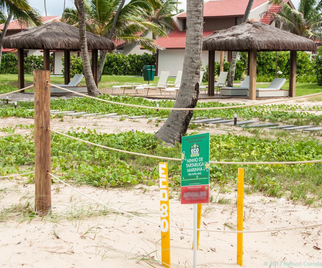 Apto Oka Beach Residence Pôrto das Galinhas Exteriör bild